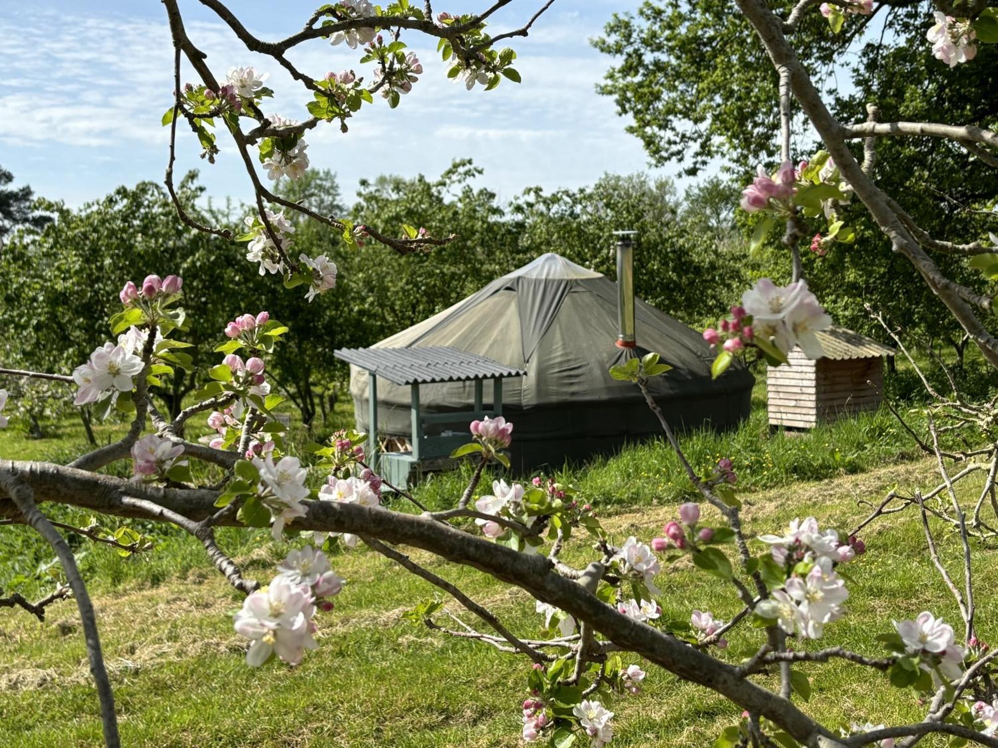 Dragon Orchard Retreat Farm stay