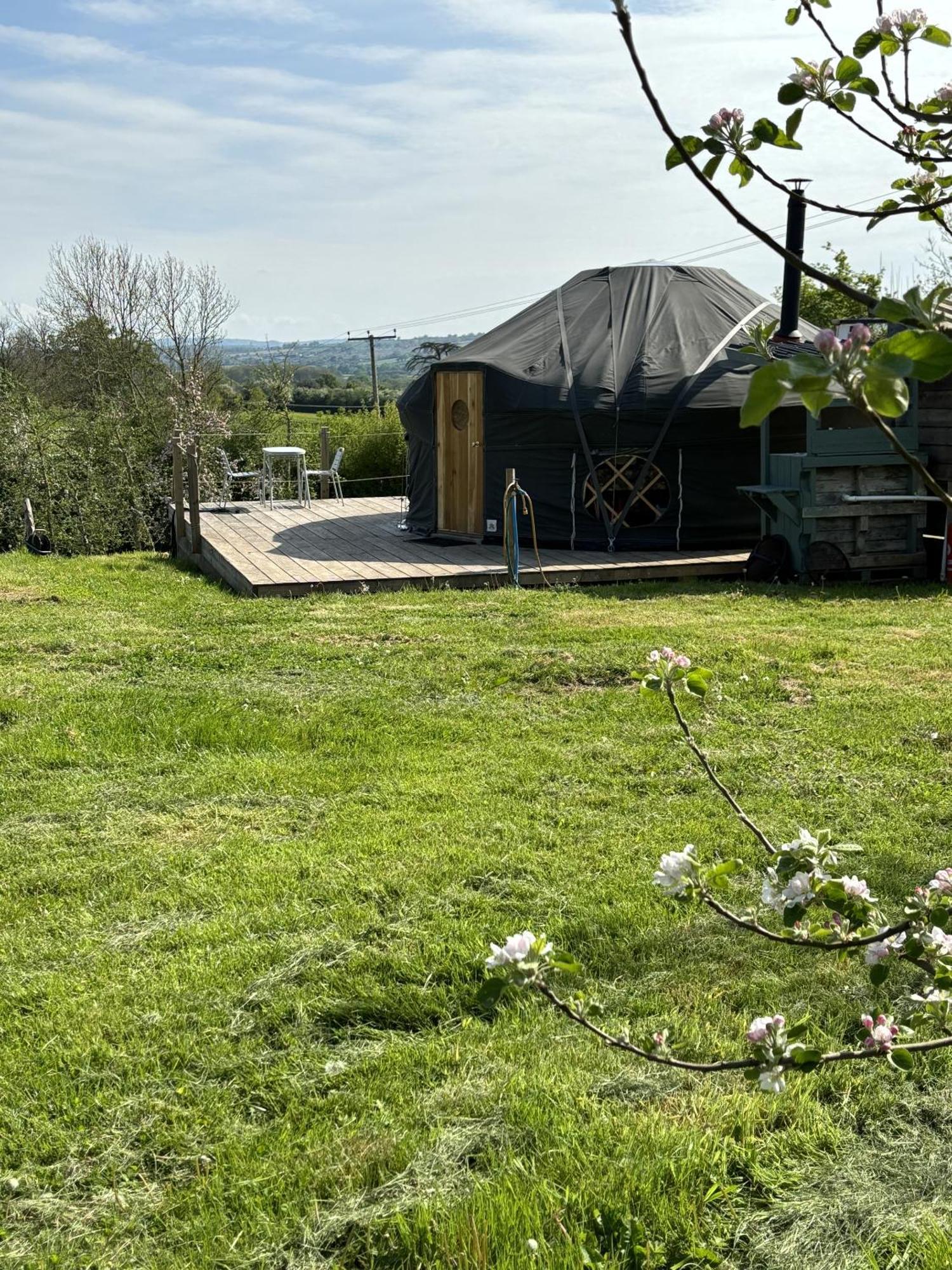 Farm stay Dragon Orchard Retreat