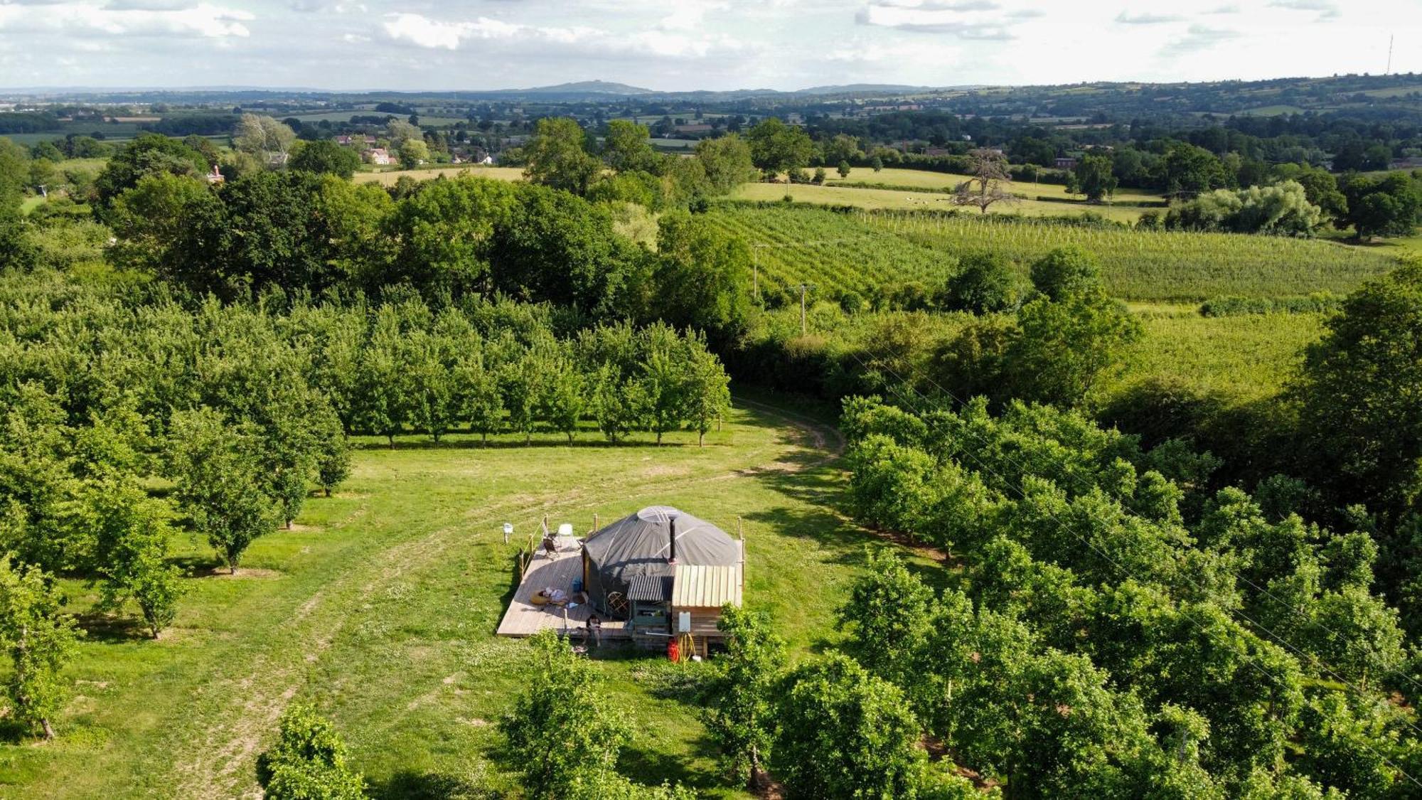 Dragon Orchard Retreat Farm stay